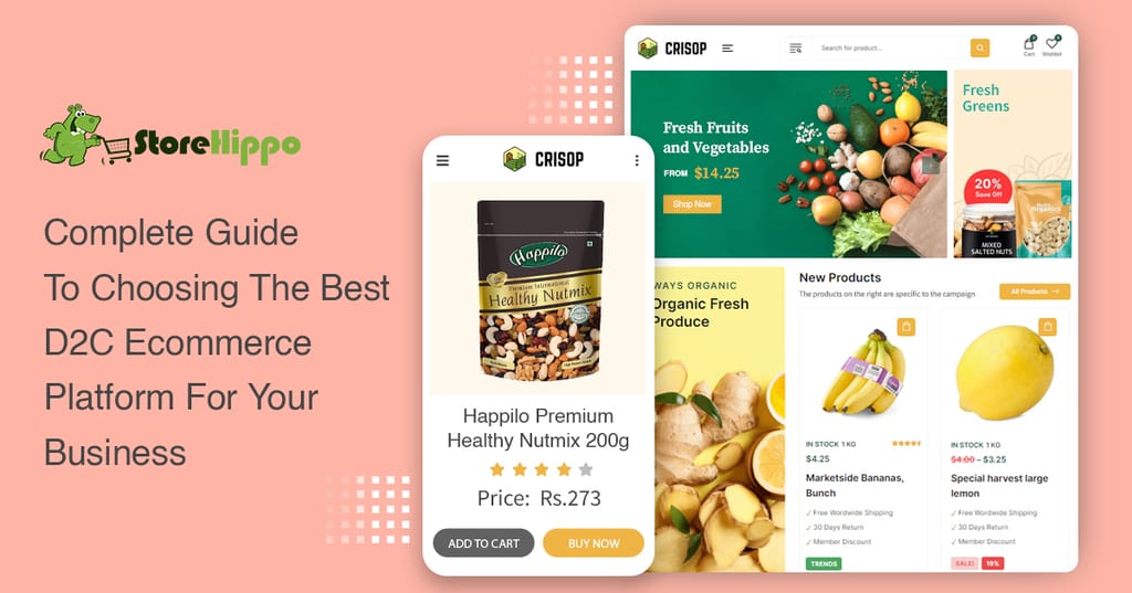 how-to-choose-the-best-d2c-ecommerce-platform-for-your-business