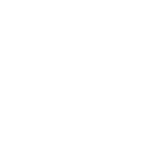 Custom Business Idea?